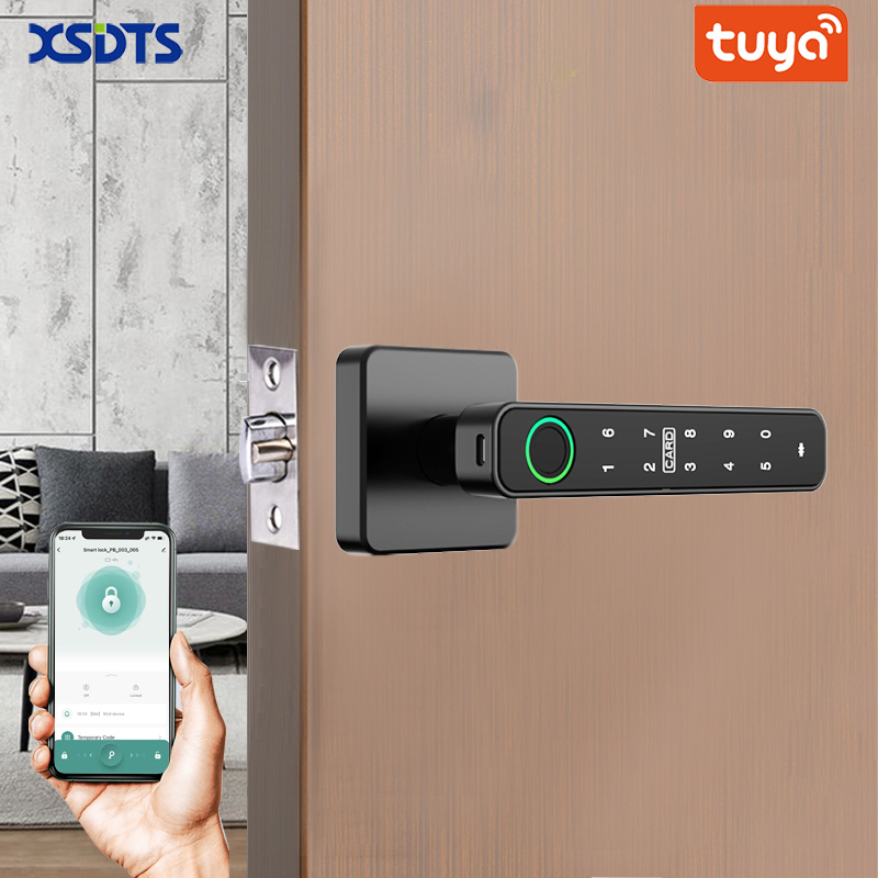 XSDTS Tuya Handle Fingerprint  - đánh giá và giá Home Security For Apartments
