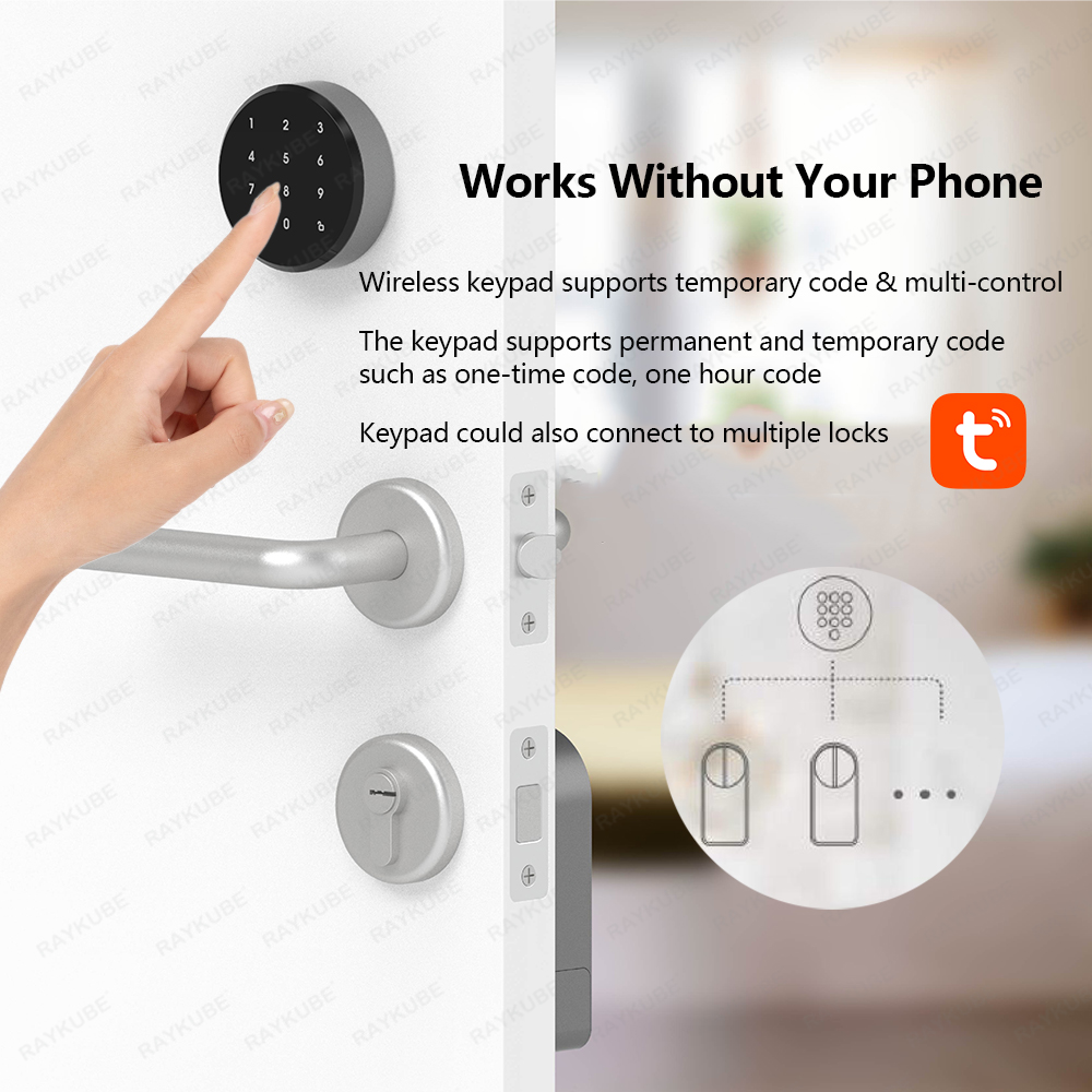 RAYKUBE A1 Pro Tuya BEL Smart  - đánh giá và giá Home Security Door Lock